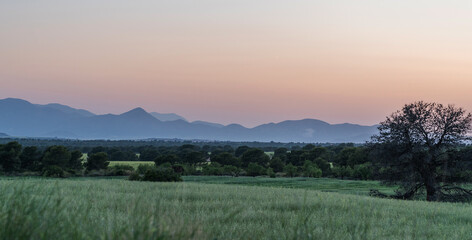A serene landscape at dusk shows rolling hills and distant mountains under a colorful sky transitioning from pink to blue. The scene includes dense forested areas and open fields.