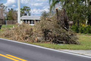 Heaps of limbs and branches debris from hurricane winds on street side waiting for recovery truck...