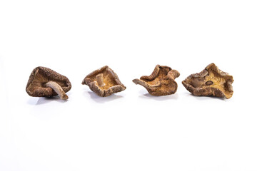 dehydrated shitake, Lentinula edodes group
