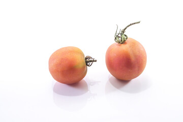  Solanum lycopersicum,hanging tomato composition