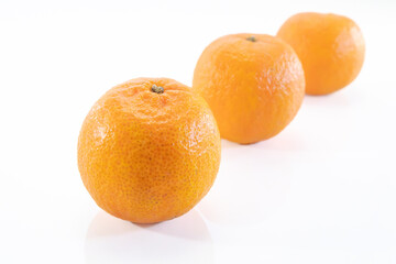 Citrus reticulata, Citrus unshiu, Citrus  reshni, Mandarin group, 3 pieces