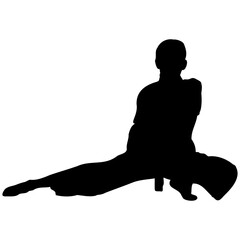 A set of silhouettes of a karate in different poses. Karate fighters silhouette.