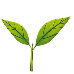 Fresh leaf sprouts environmentally sustainable concept 