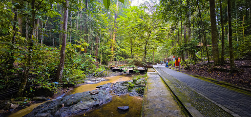 Nature View in Hutan Lipur Gombak-Hulu Langat Geopark: River and Nature Park, Malaysia
