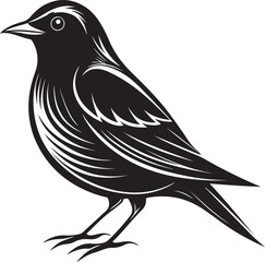 Naklejka premium nightingale bird vector illustration transparent background