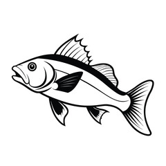 sea bass fish design, labeled line art vector silhouette illustration.