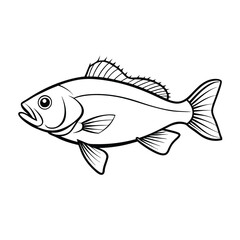 sea bass fish design, labeled line art vector silhouette illustration.