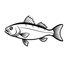 sea bass fish design, labeled line art vector silhouette illustration.