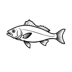 sea bass fish design, labeled line art vector silhouette illustration.