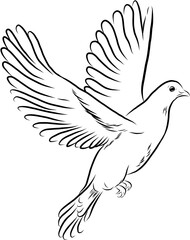 Robbin dove peace flying.Hand drawn ink vector illustration.