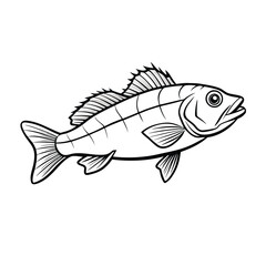 sea bass fish design, labeled line art vector silhouette illustration.