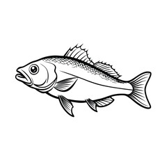 sea bass fish design, labeled line art vector silhouette illustration.