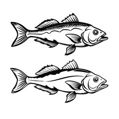 sea bass fish design, labeled line art vector silhouette illustration.