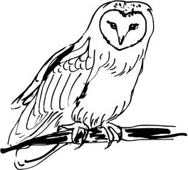 Christmas animal owl on branch.Hand drawn ink vector illustration.