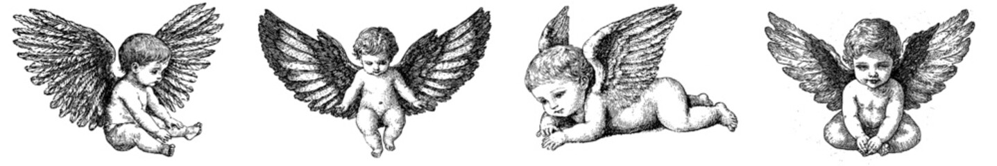 A cute baby with wings in a frame in a modern retro style engraving black and white illustration.