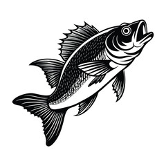 sea bass fish design, labeled linocut vector silhouette illustration.