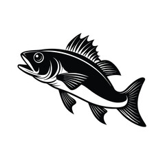 sea bass fish design, labeled linocut vector silhouette illustration.