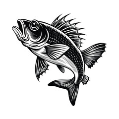 sea bass fish design, labeled linocut vector silhouette illustration.