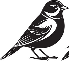 Obraz premium Palmchat bird vector illustration