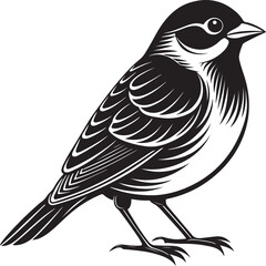 Fototapeta premium Palmchat bird vector illustration