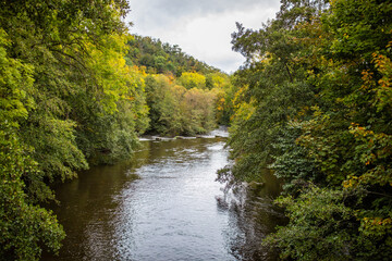 Fluss im Harz. die Bode im Herbst.