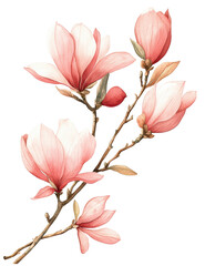 Fototapeta premium A painting of pink flowers with a white background. The flowers are arranged in a way that they look like they are growing out of the painting. The painting has a serene and calming mood