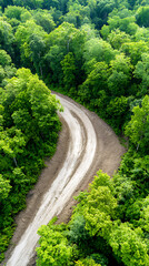 Promoting nature conservation through aerial tree planting initiatives