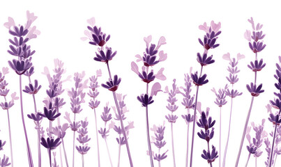 Naklejka premium modern 2D doodle cartoon flower concept with open space for text, featuring whimsical floral and leafy elements on crisp white backgrounds.