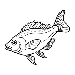 halibut fish design, labeled line art vector silhouette illustration.