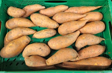 Fresh Sweet Potatoes in a Green Basket