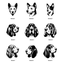 head of dog basenji and basset