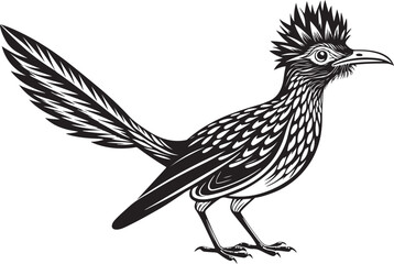 Fototapeta premium roadrunner bird vector illustration, printable design