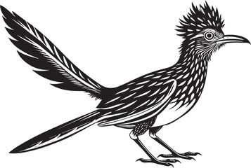 Obraz premium roadrunner bird vector illustration, printable design
