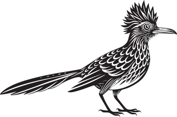 Fototapeta premium roadrunner bird vector illustration, printable design