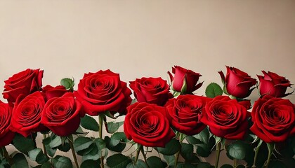 Obraz premium banner of roses for valentines day 