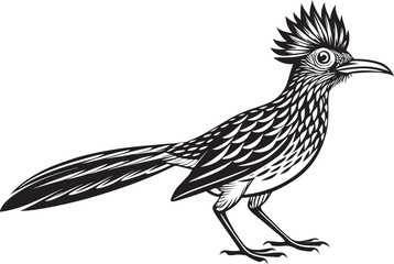 Obraz premium roadrunner bird vector illustration, printable design