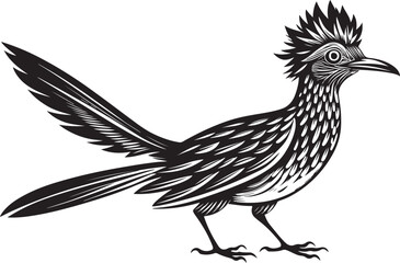 Naklejka premium roadrunner bird vector illustration, printable design