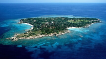 Fototapeta premium Aerial View of Lush Tropical Island Surrounded by Ocean