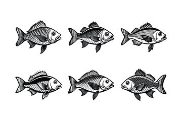 snapper fish design, labeled linocut vector silhouette illustration.