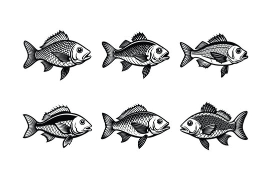 snapper fish design, labeled linocut vector silhouette illustration.