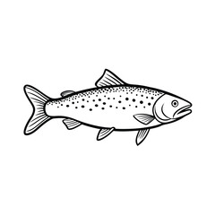 trout fish design, labeled line art vector silhouette illustration.