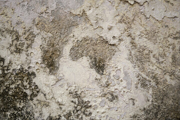 Rough Texture of an Old Wall
