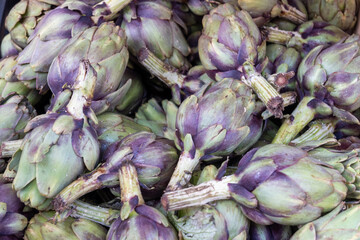 Fresh big Romanesco artichokes green-purple flower heads ready to cook seasonal food