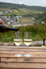 Obraz premium Glasses of white dry riesling wine made on Moselle river valley in Germany or Luxembourg, view on terraced vineyards