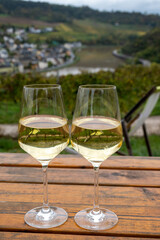 Glasses of white dry riesling wine made on Moselle river valley in Germany or Luxembourg, view on terraced vineyards