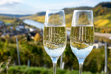 Tasting sparkling white wine, traditional champagne method making of cremant in caves on Moselle river valley in Luxembourg, glasses of wine and view on terraced vineyards