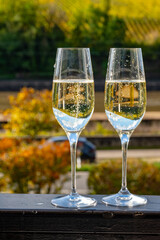 Tasting sparkling white wine, traditional champagne method making of cremant in caves on Moselle river valley in Luxembourg, glasses of wine and view on terraced vineyards