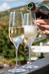 Tasting sparkling white wine, traditional champagne method making of cremant in caves on Moselle river valley in Luxembourg, glasses of wine and view on terraced vineyards