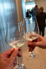 Tasting of white dry wine made on Moselle river valley in Luxembourg, winery visit in Grevenmacher, wine from terraced vineyards