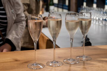 Tasting sparkling white wine, traditional champagne method making of cremant in caves on Moselle river valley in Luxembourg, wine tour and visiting caves